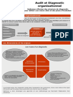 Audit Et Diagnostic Organisationnel