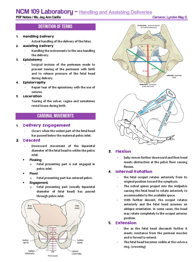3 Handling and Assiting Deliveries Transes | PDF | Childbirth | Pelvis