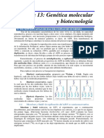 2012 t13 Genetica Molecular