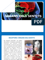 Òrgans Dels Sentits 2016