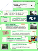 Infografía Bosque Humedo Tropical
