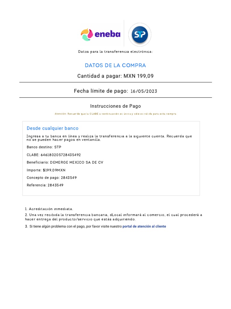 Instrucciones de Pago a DEMERGE México | PDF | Finanzas y dinero