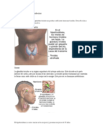 Enfermedades Del Sistema Endocrino