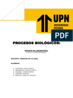 P.B Reporte Laboratorio