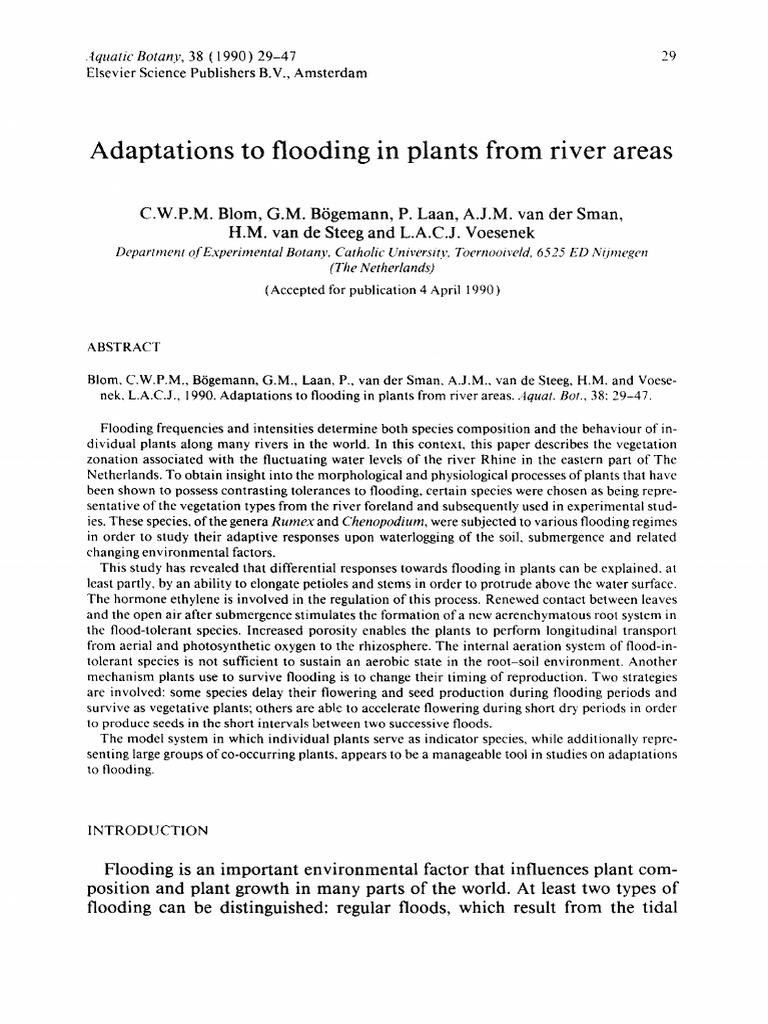 Flood Adaptations in River Plants | PDF | Root | Auxin