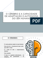 O Cérebro - Capacidade de Adaptação e Autonomia