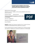 Formato Declaracion Jurada CD Reniec2