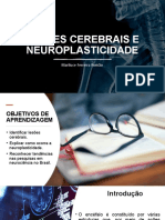AULA 03 - Neuroplasticidade e Lesõe Cerebrais