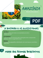 Séminário de Geografia - AMAZÔNIA