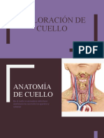 Exploración de Cuello