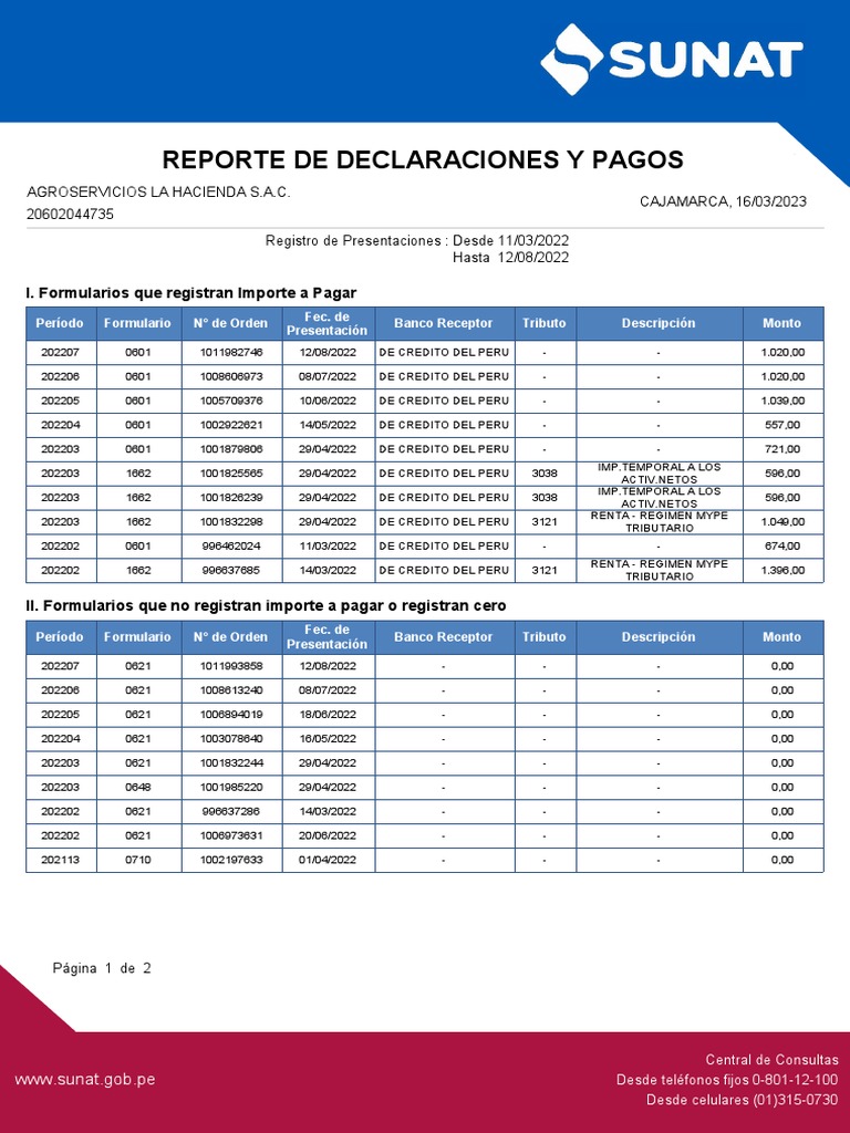 Reporte de Declaraciones y Pagos SUNAT | PDF | Industrias de servicio ...