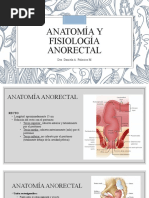 Anatomía y Fisiología Anorectal | PDF | Recto | Sistema digestivo