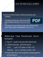 Penentuan Jenis Kelamin - Uas