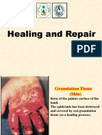 Lab6-Healing and Repair