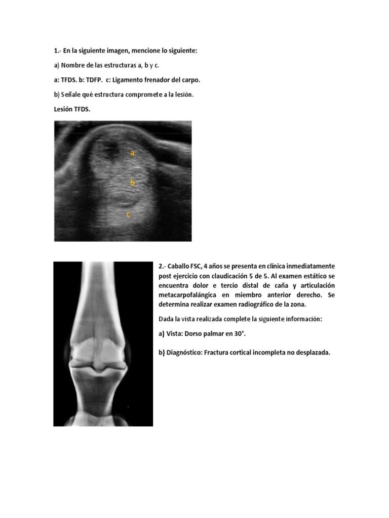 2pp Imagenes | PDF | Radiología | Ultrasonido