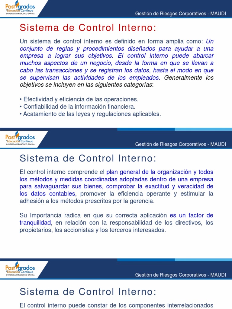 Importancia del Sistema de Control Interno | PDF | Economias | Business