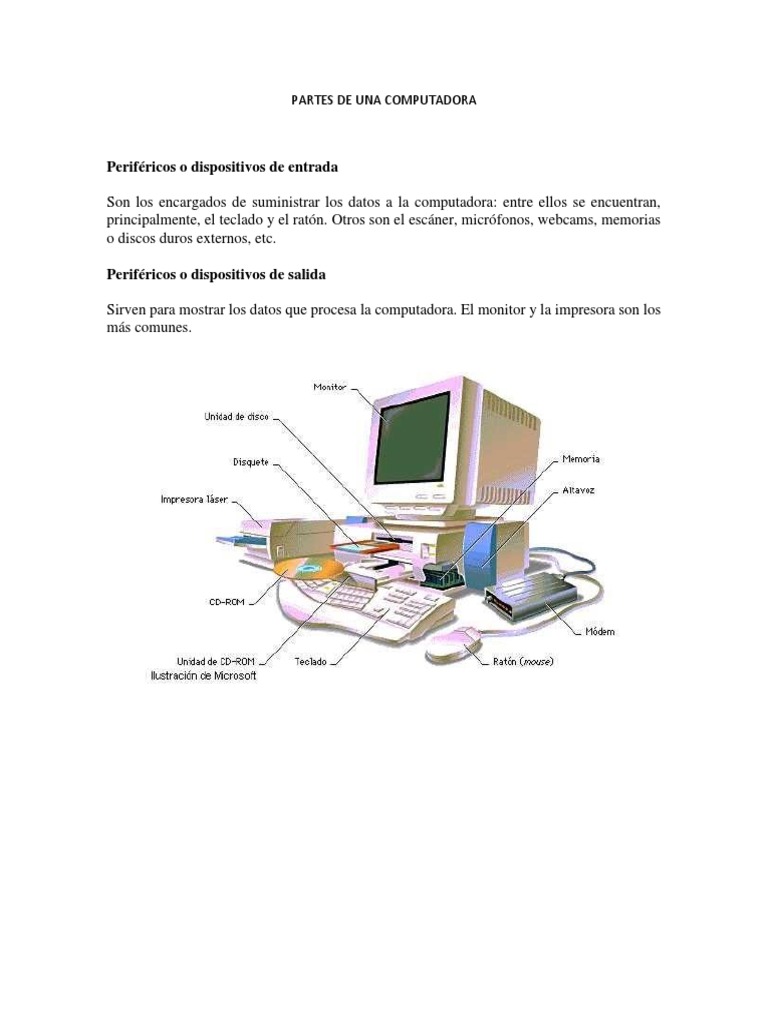 Partes de Una Computadora | PDF | Periférico | Hardware de la computadora