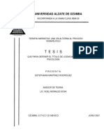 Terapia Narrativa 0812308