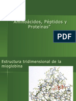 Aminoacidos Proteinas