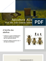 Aula 2 - Apicultura Continuação