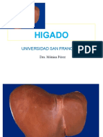 Pancreas2022 Higado