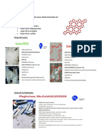 Silicatos, Minerales Opacos Metamorfismo Lab Micro