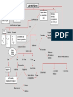 Mapa Conceptual de Las Proteinas