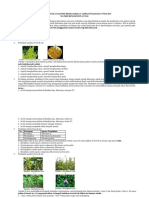 Soal Tes Pemahaman Konsep Peserta Didik Pada Pembelajaran Biologi Berdasarkan Aspek Pemahaman Wiggins Materi Kingdom Plantae