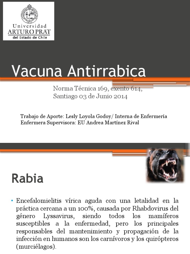 Clase Vacuna Antirrabica | PDF | Rabia | Especialidades Medicas