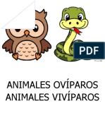 Animales Ovíparos