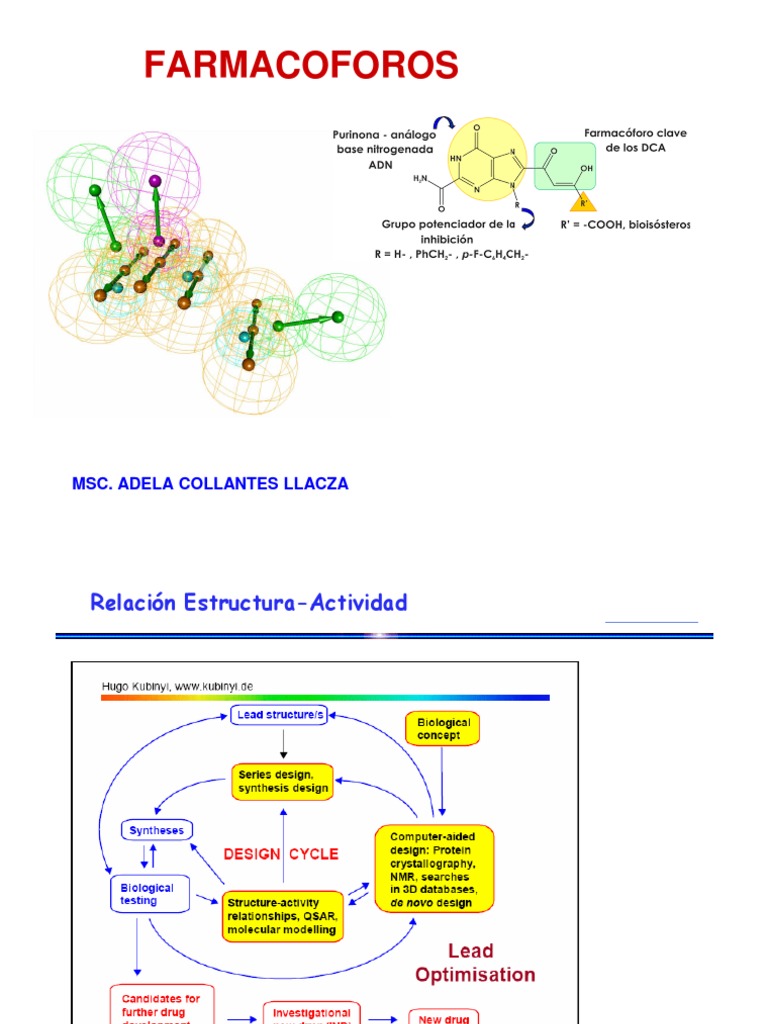 Definición de Farmacóforo y su Aplicación | PDF | Ácido | Receptor ...