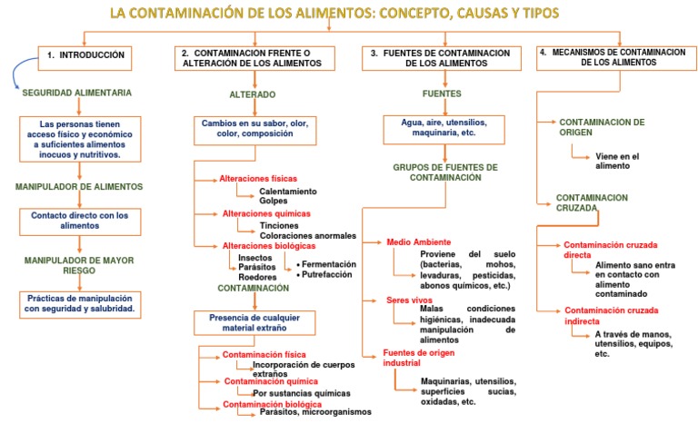 MApa Conceptual | Descargar gratis PDF | Alimentos | Contaminación