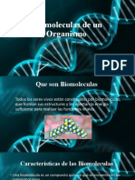 Biomoleculas de Un Organismo 11
