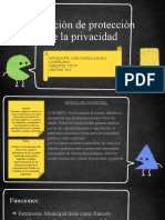 Proteccion A La Privacidad