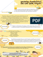 Infografía Las Abejas