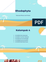 A1C420090 - Rejil Kholiq Pranata - RHODOPHYTA - KELOMPOK 4 - REGULER A