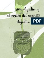 Actividades secrecion,diestion y absorcion del  aparato digestivo. Cristhal C. Segura Liranzo