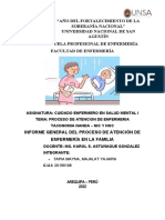 Proceso de Atencion en Enfermería en Salud Mental