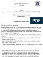 Body Condition Scoring