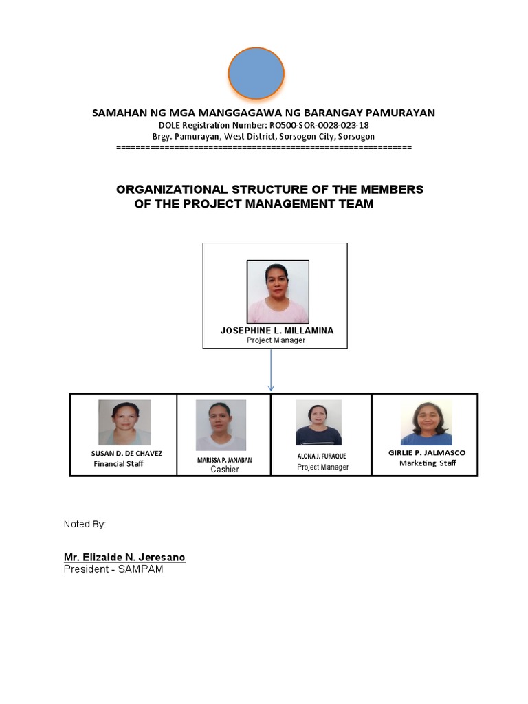 Project Managementteam Pdf