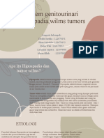 Hypospadia, Wilms Tumors