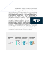 Informe Proteínas-Biurer