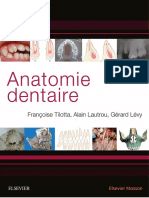Anatomie Dentaire