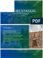 DEFORESTATION