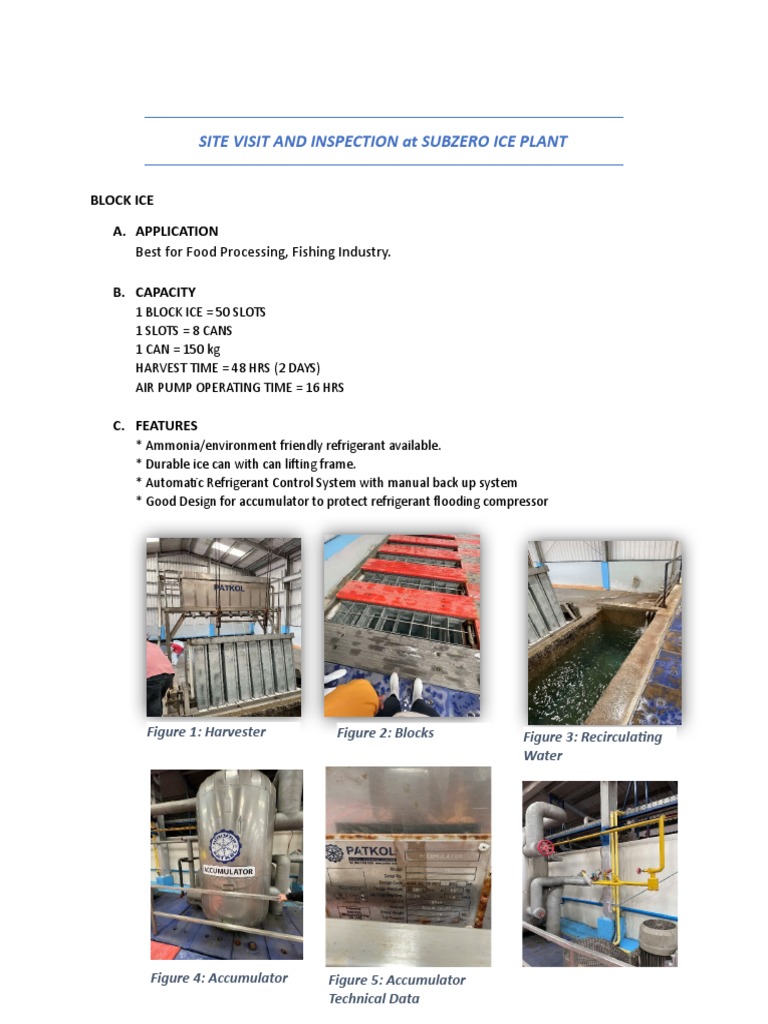 Subzero Ice Plant Inspection Report | PDF