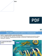 Tema 4 Control de La Expresión de Los Genes