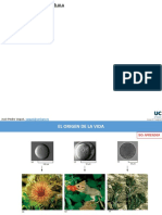 Tema 1 Estructura y Organización Del Genoma