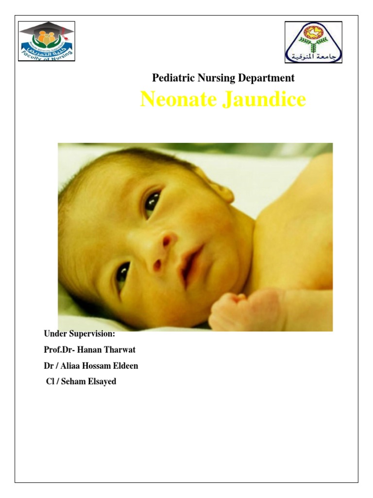 2 Neonatal Jaundice Pdf Breastfeeding Medicine