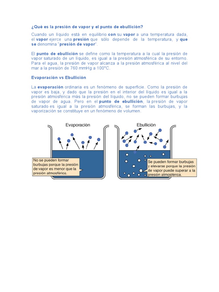 Qué Es La Presión de Vapor y El Punto de Ebullición | PDF