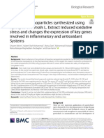 Zinc Oxide Nanoparticles Synthesized Using Stress and Changes The Expression of Key Genes Involved in Inflammatory and Antioxidant Systems